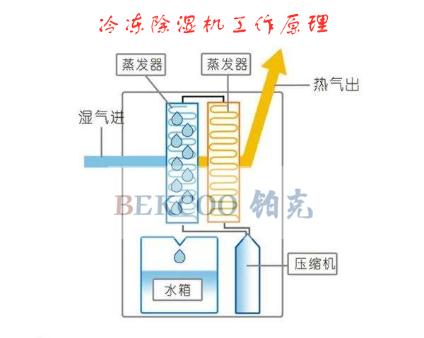 除濕機工作原理_副本.jpg